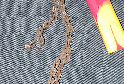 Prosím o pomoc s určením 