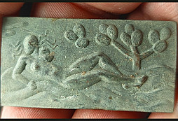 Dnešní nález na skále