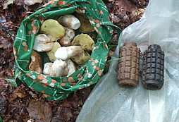 Bílokarpatské minobraní