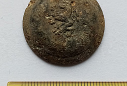 Prosba o určení nálezu