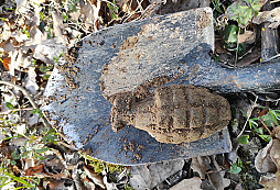 Ešte trocha šrotu z lesa