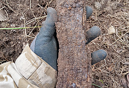 Podél staré cesty R.I.P.