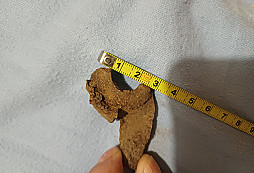 Prosba o určení zbytku munice