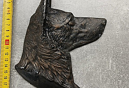 Identifikace nálezu z půdy 