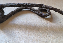 Fibula 