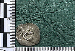 Stříbrná mince 
