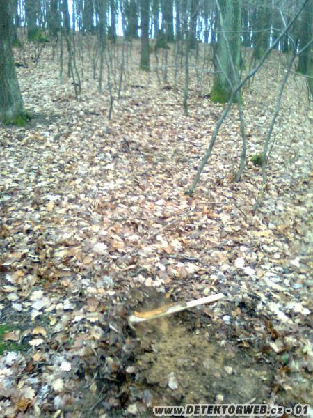 Zvětšit obrázek