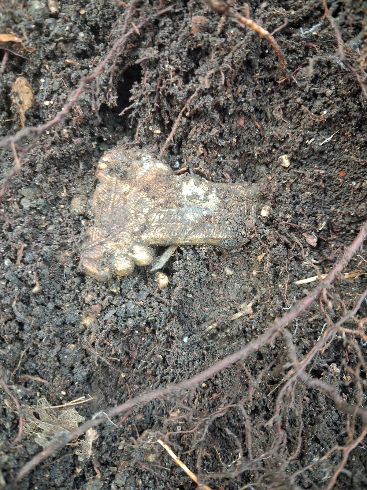 Velikonoční barevnej smeťák