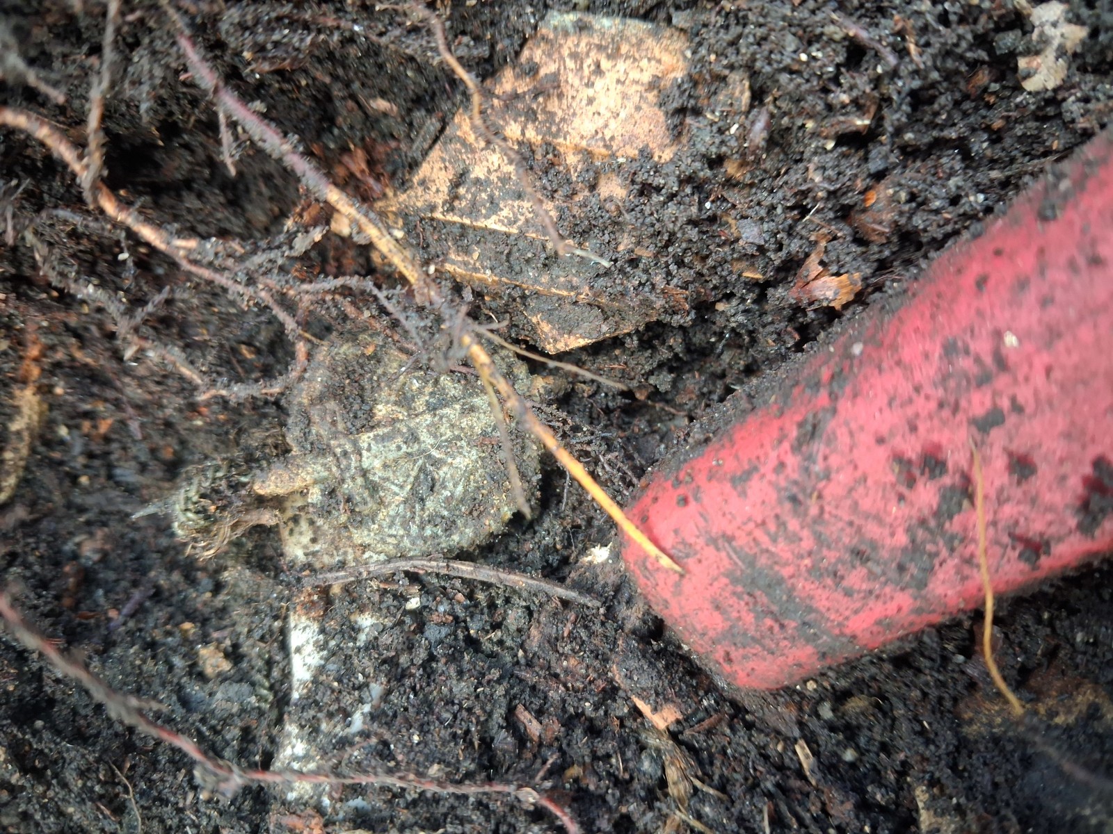 Velikonoční barevnej smeťák